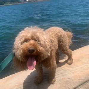 Meet your Posher, Claire